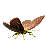 Mariposa