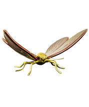 Mariposa