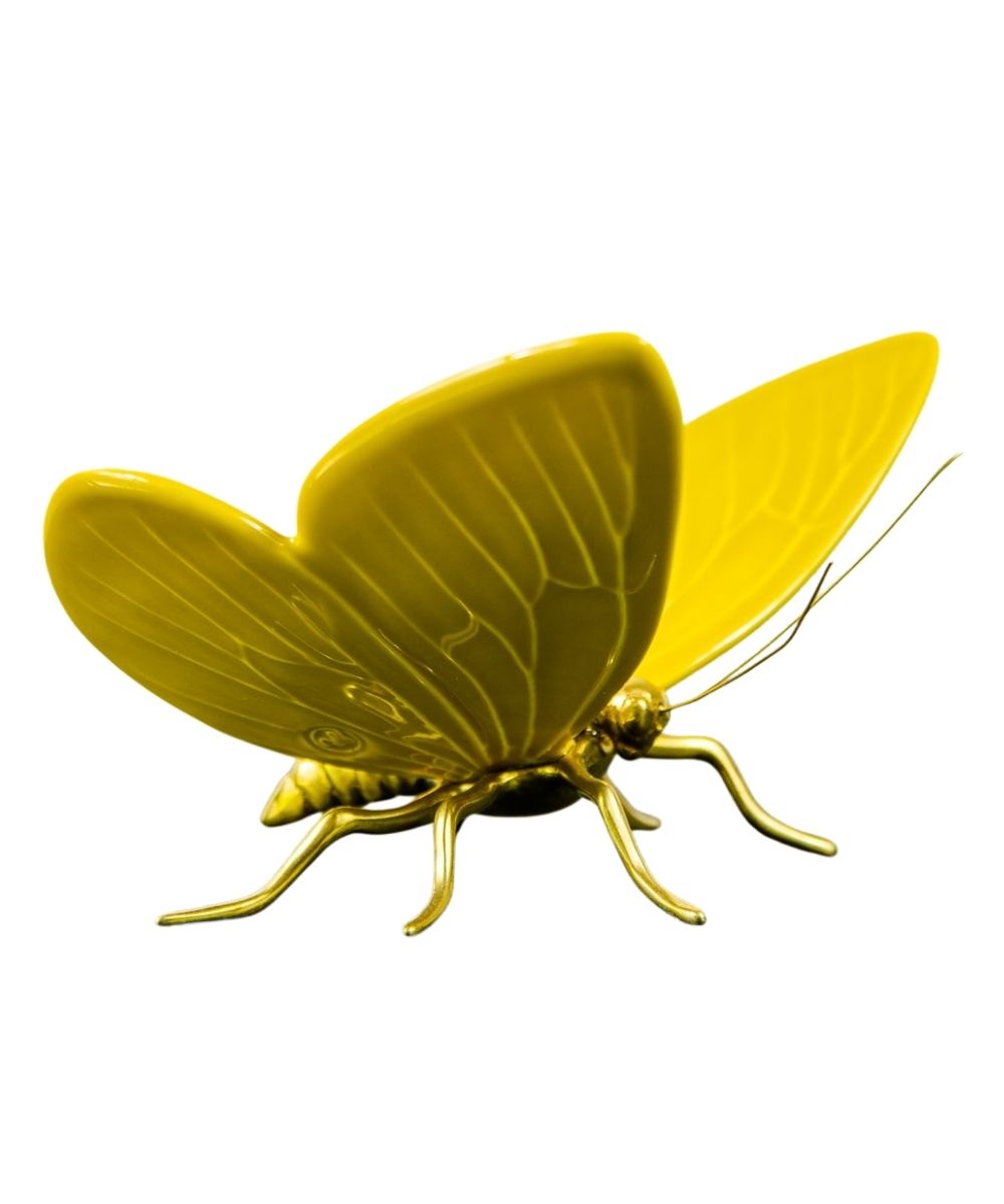 Mariposa