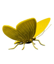 Mariposa