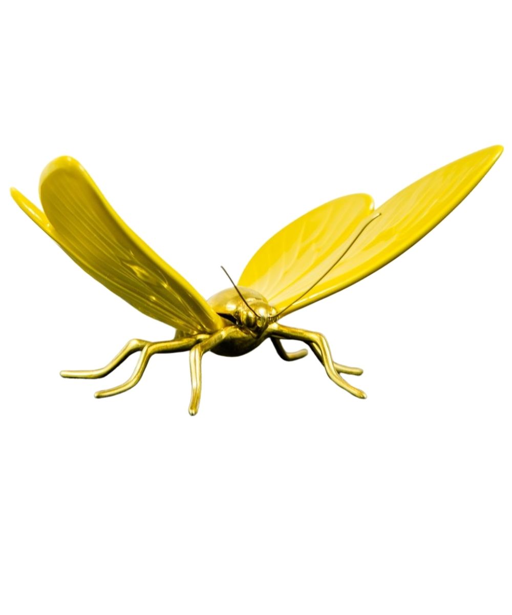 Mariposa