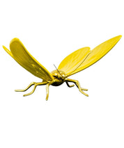 Mariposa