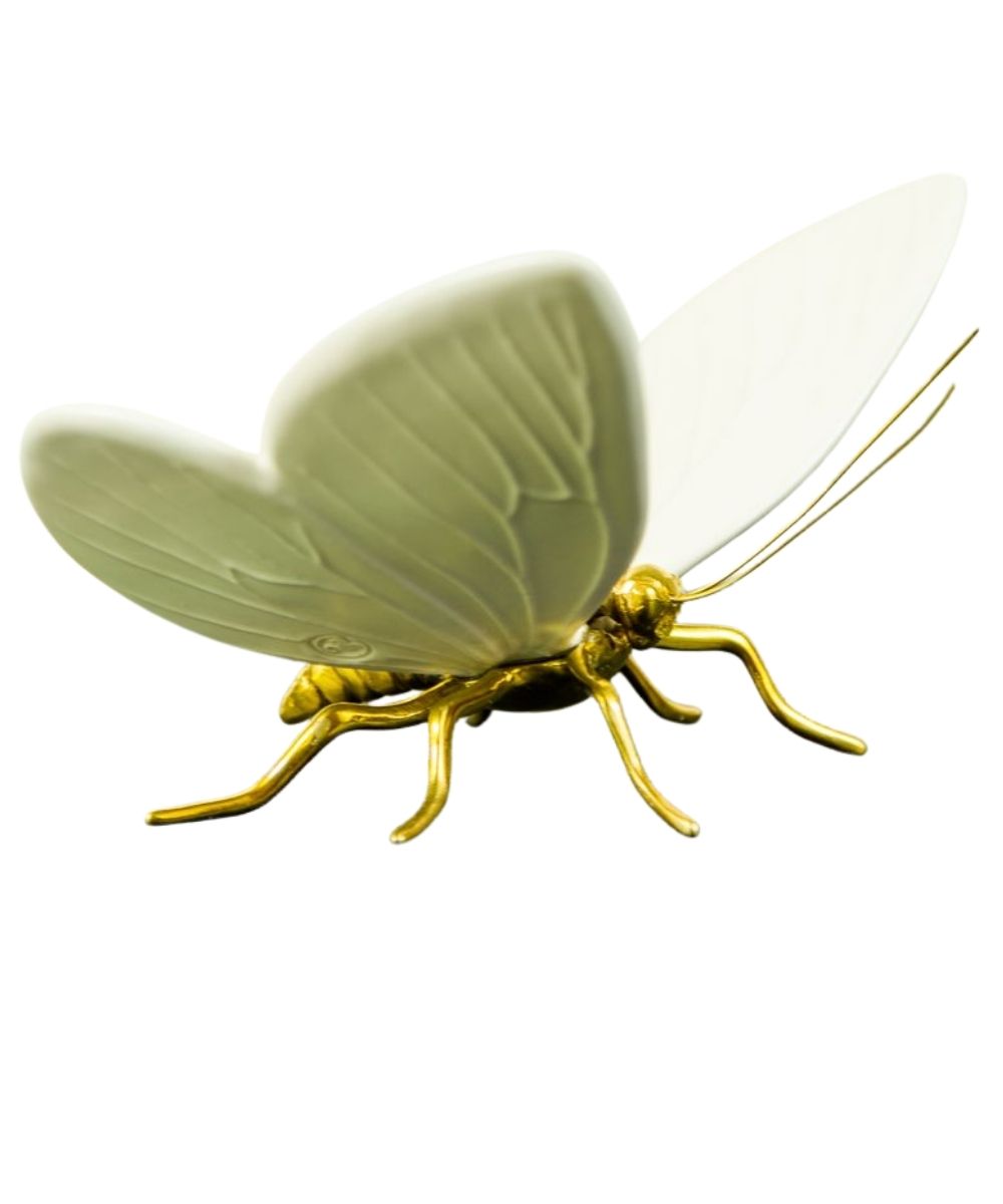 Mariposa