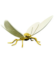 Mariposa