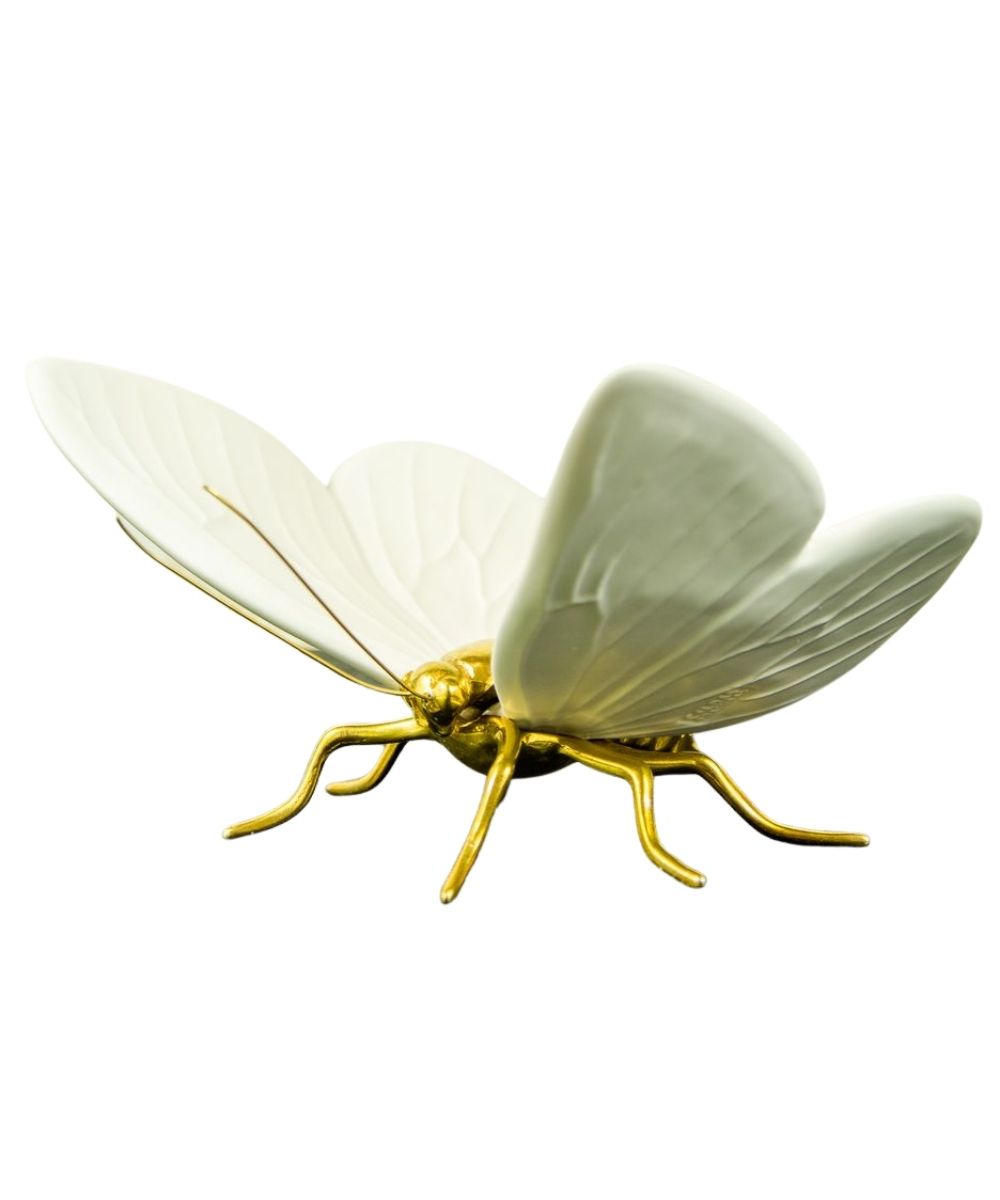 Mariposa