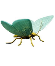 Mariposa