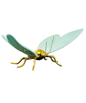 Mariposa