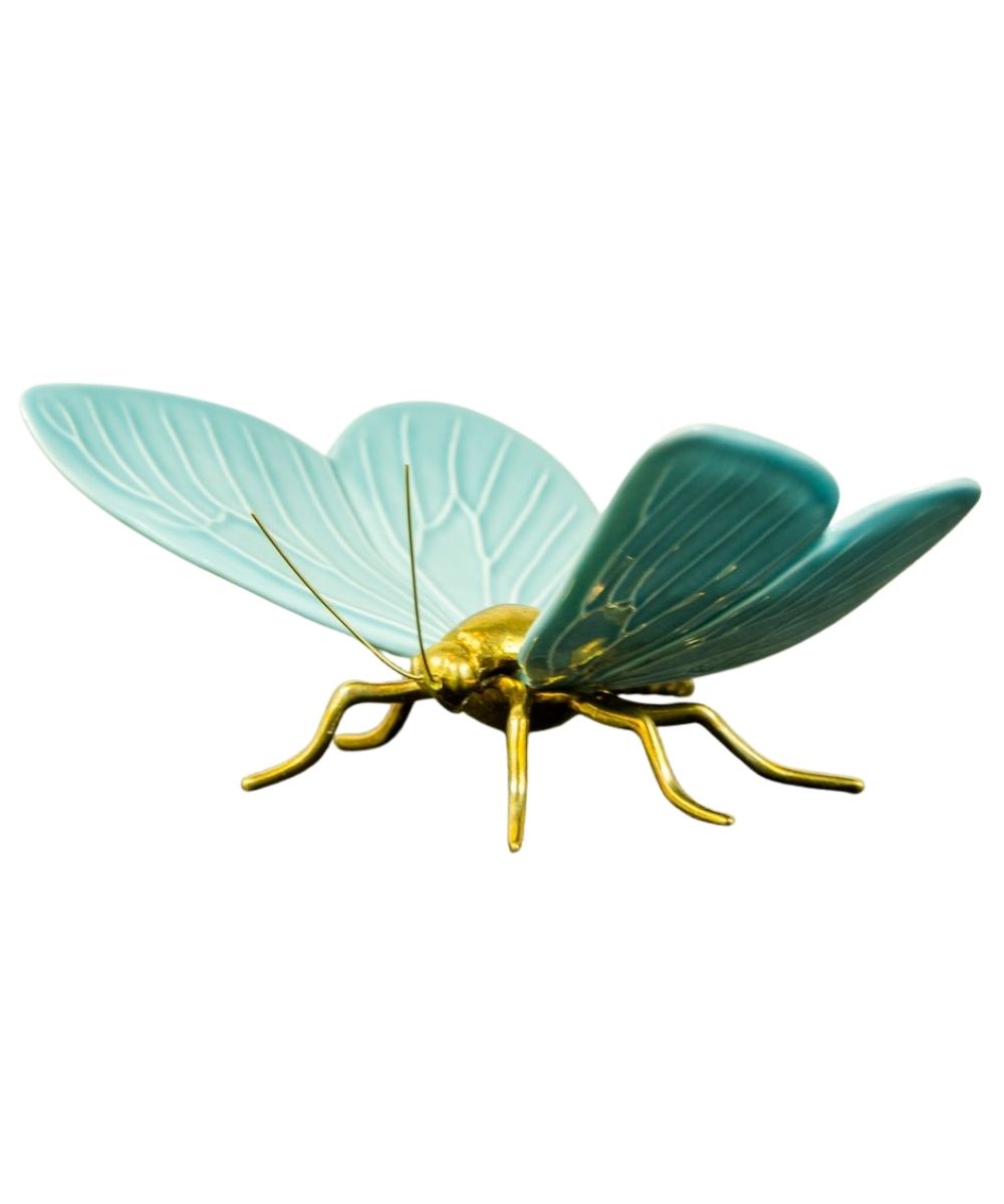 Mariposa