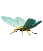 Mariposa