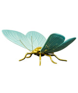 Mariposa