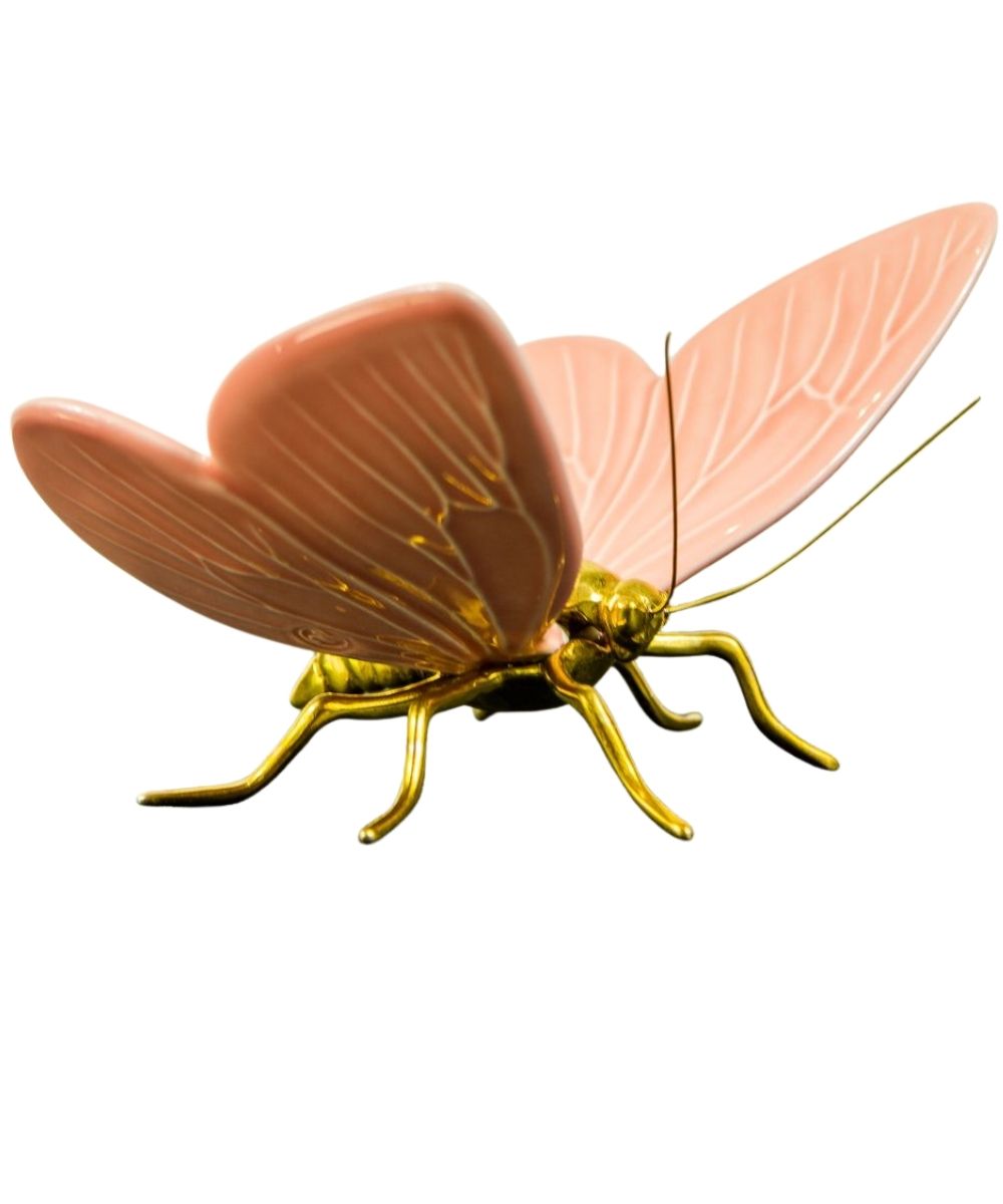 Mariposa