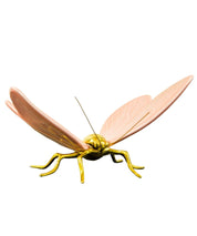 Mariposa