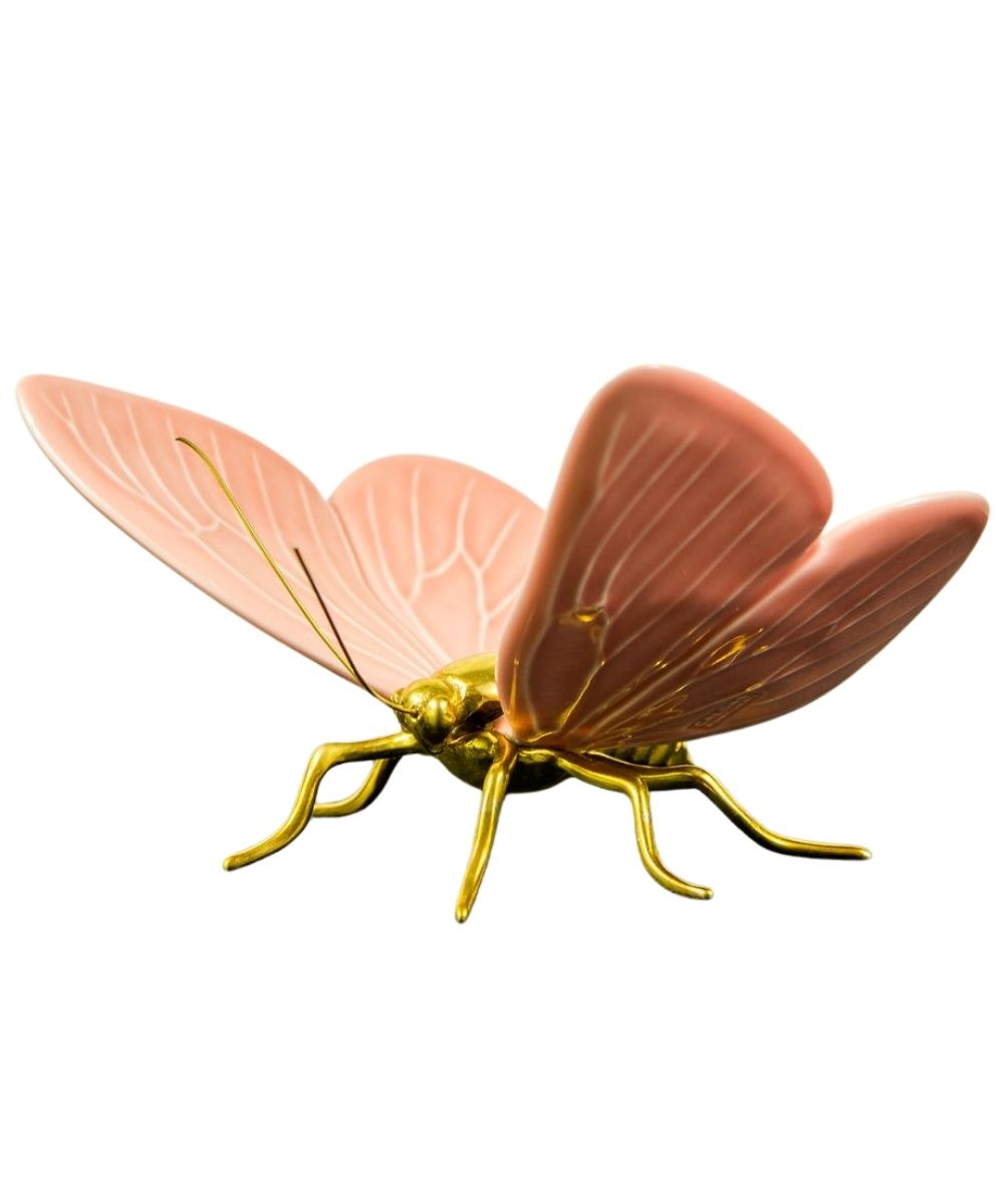 Mariposa