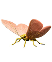 Mariposa
