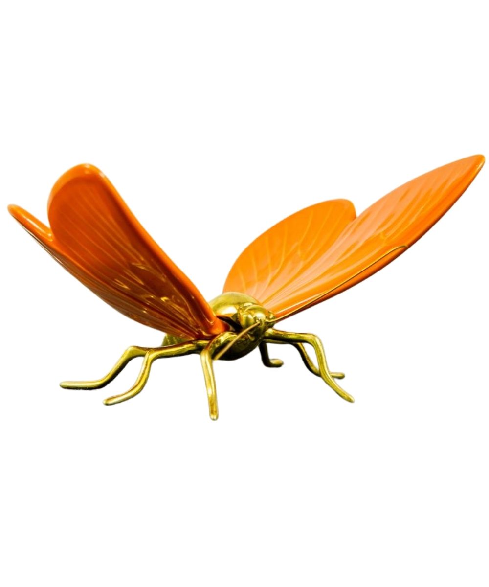 Mariposa