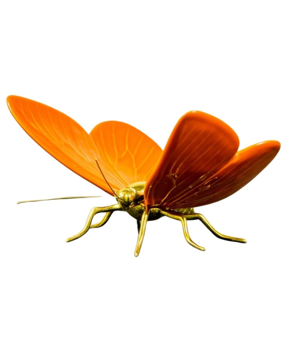 Mariposa