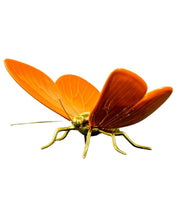 Mariposa