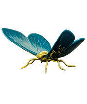 Mariposa