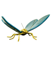 Mariposa
