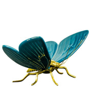 Mariposa