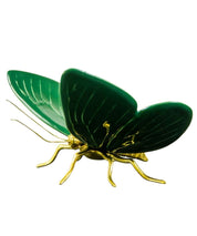 Mariposa