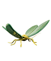 Mariposa