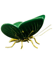 Mariposa