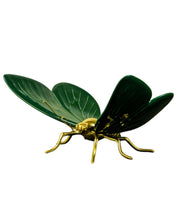 Mariposa