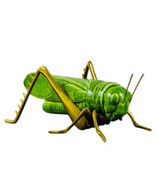 Grillo