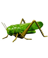 Grillo