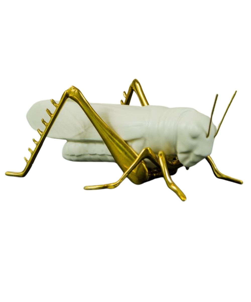 Grillo