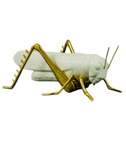 Grillo