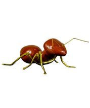 Hormiga