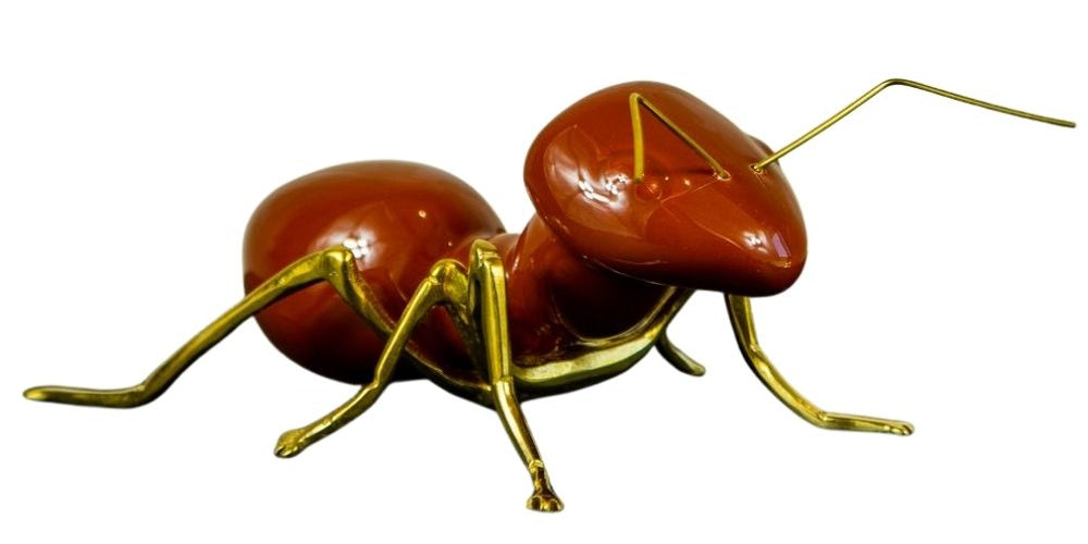 235.jpg