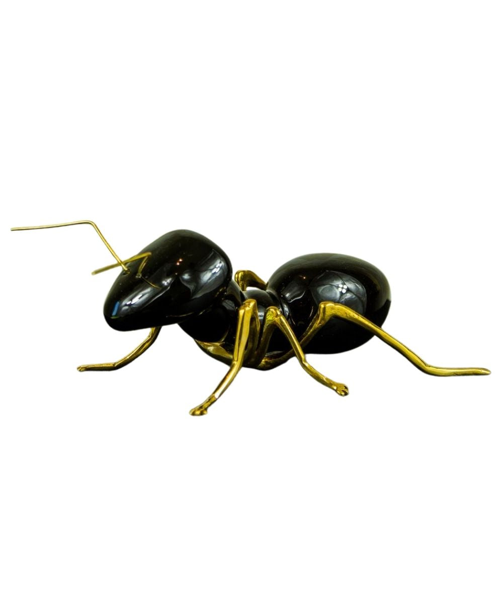 Hormiga