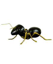 Hormiga