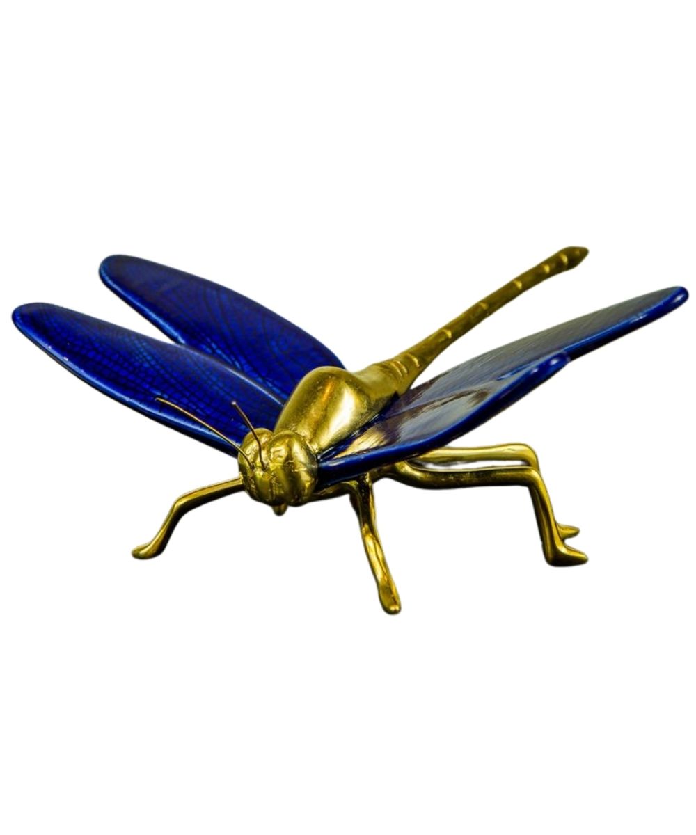 245.jpg