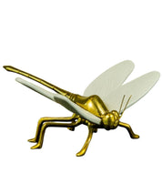 Libelula