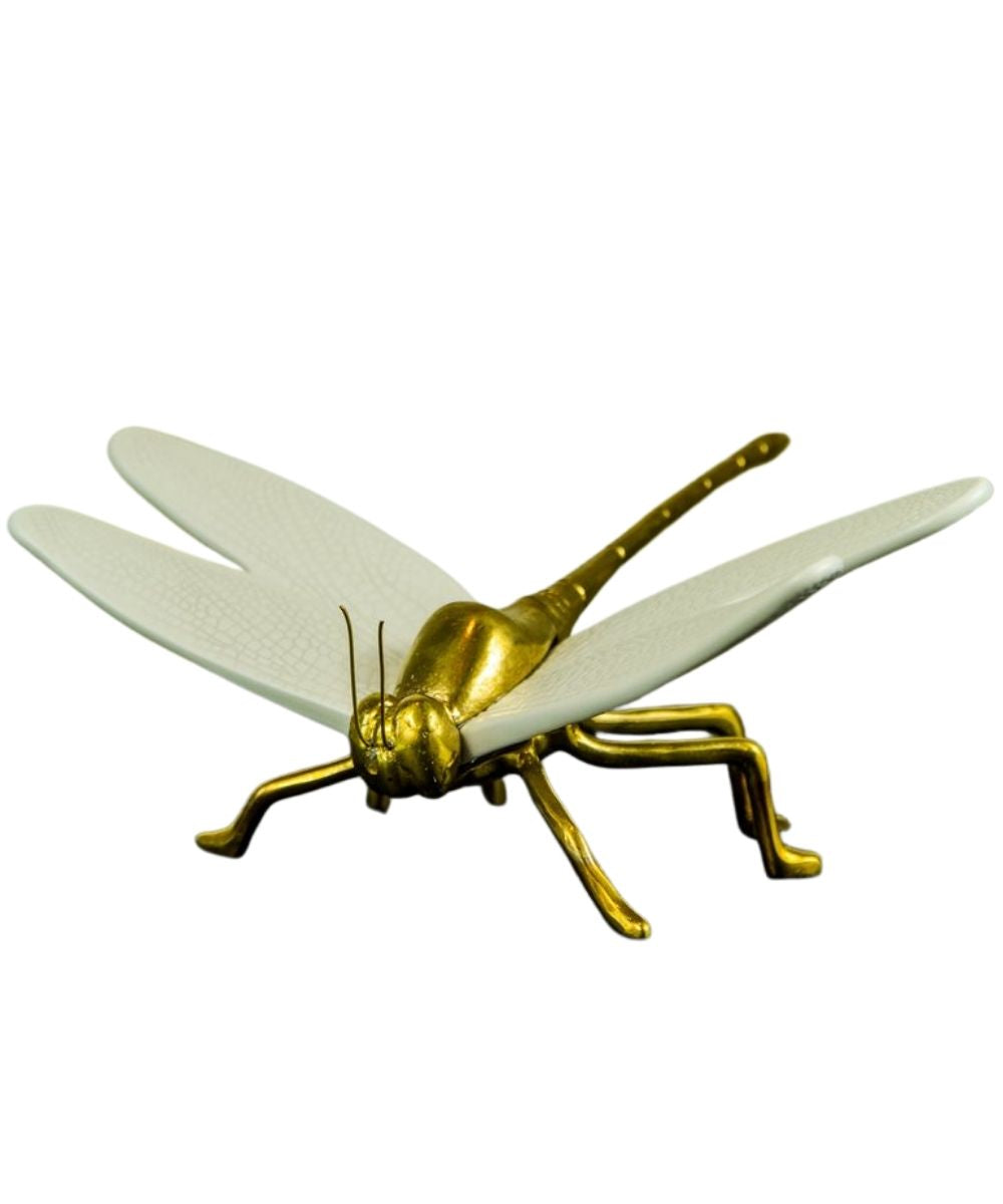 Libelula