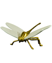 Libelula