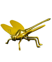 Libelula