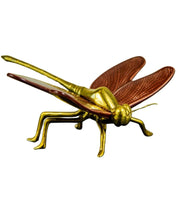 Libelula