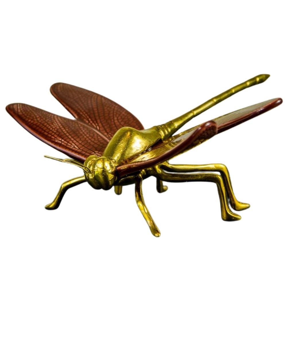 Libelula