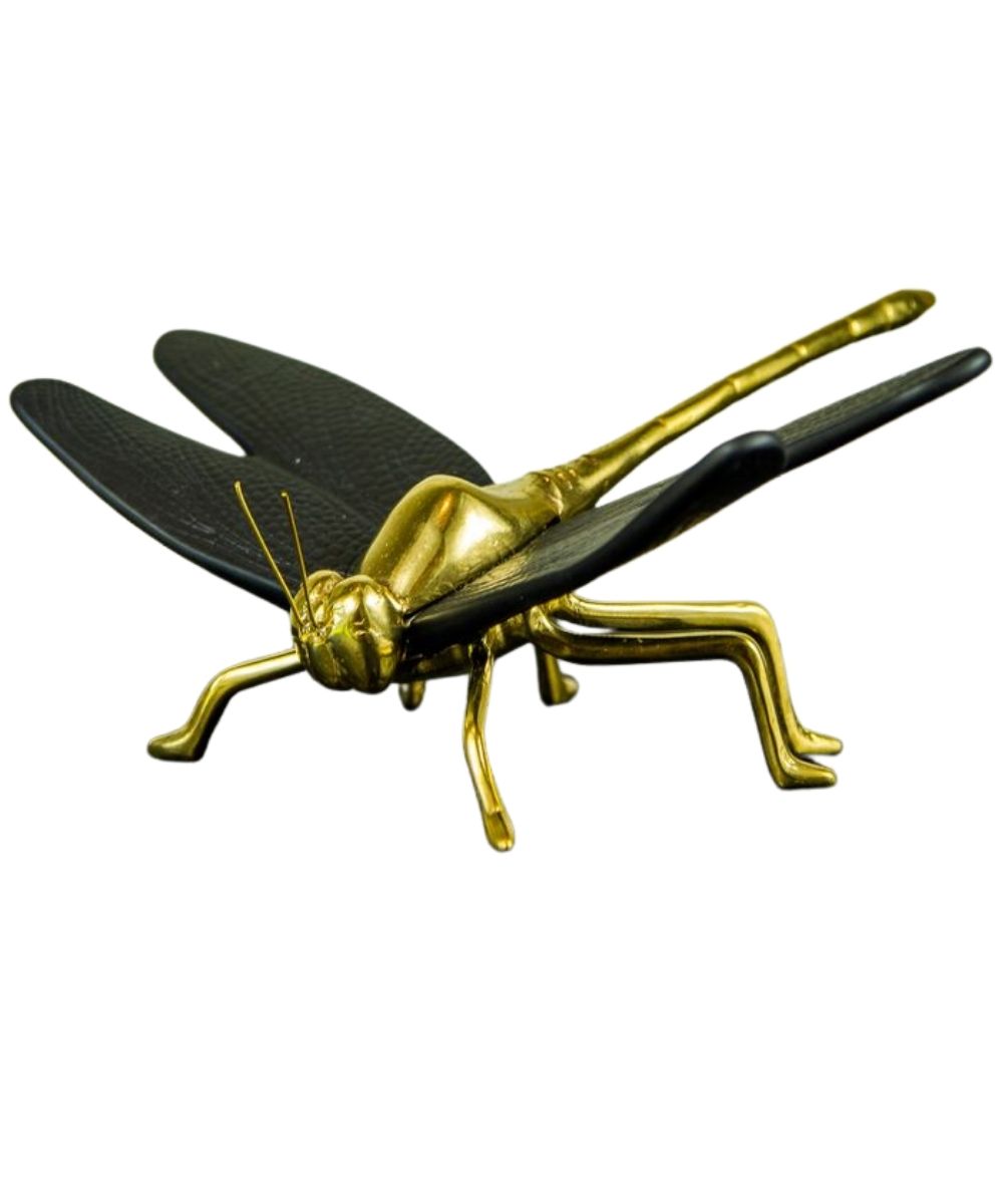 Libelula