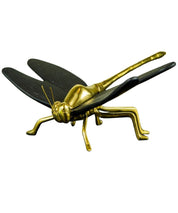 Libelula
