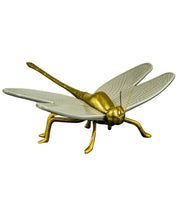 Libelula
