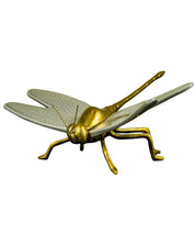 Libelula