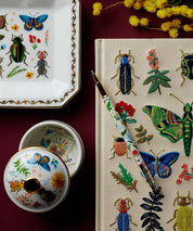 Curio - Embroidered Sketchbook