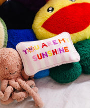 You Are My Sunshine Mini Needlepoint Pillow